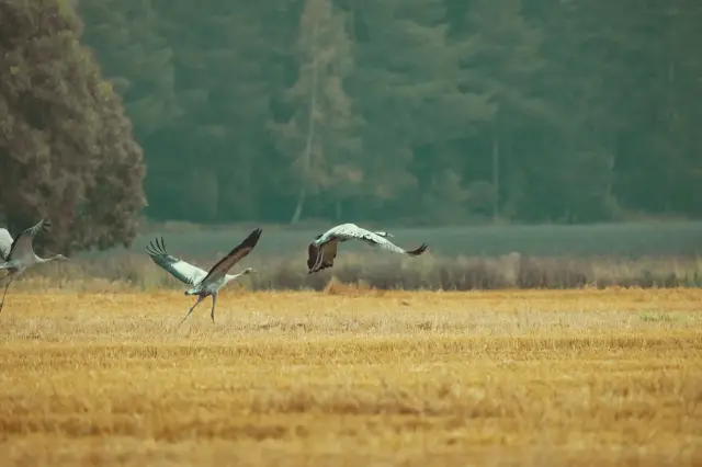 Nature and landscape photography, sample 101