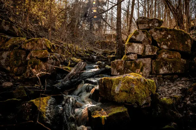Nature and landscape photography, sample 13