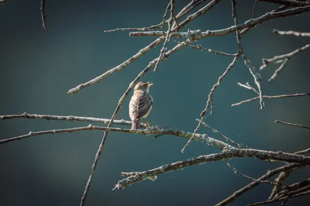 Nature and landscape photography, sample 14