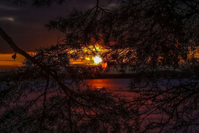Nature and landscape photography, sample 19