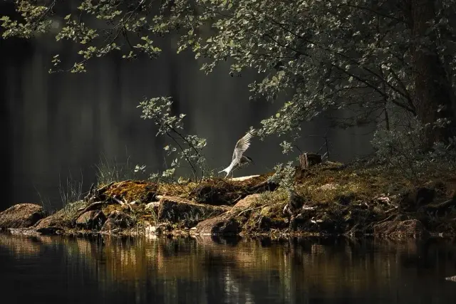 Nature and landscape photography, sample 25