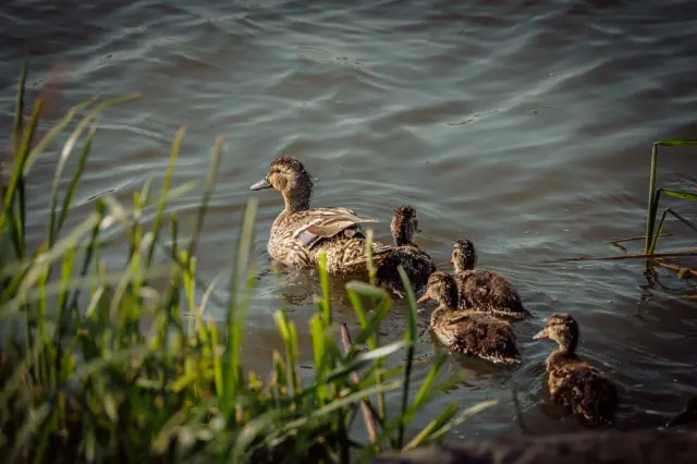 Nature and landscape photography, sample 27