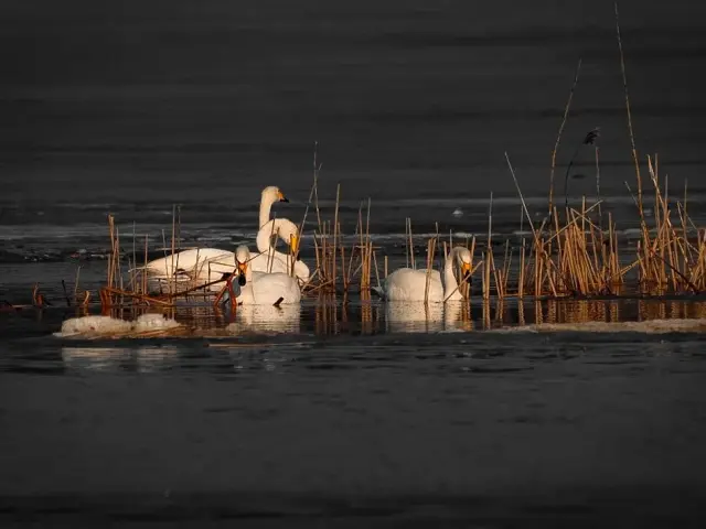 Nature and landscape photography, sample 34