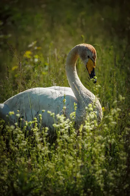 Nature and landscape photography, sample 37