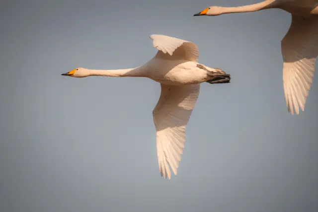 Nature and landscape photography, sample 40