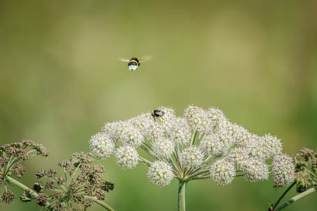 Nature and landscape photography, sample 42