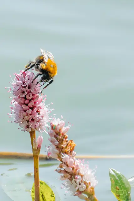 Nature and landscape photography, sample 45