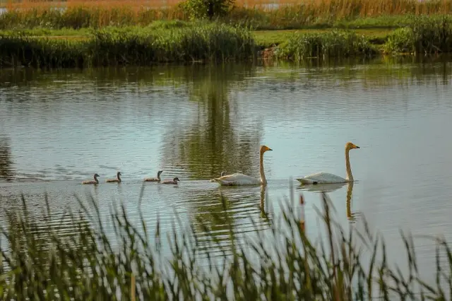 Nature and landscape photography, sample 49