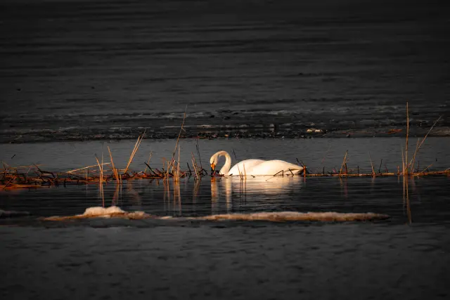 Nature and landscape photography, sample 5