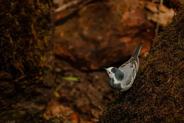 Nature and landscape photography, sample 51
