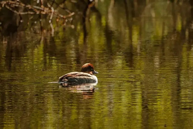 Nature and landscape photography, sample 58