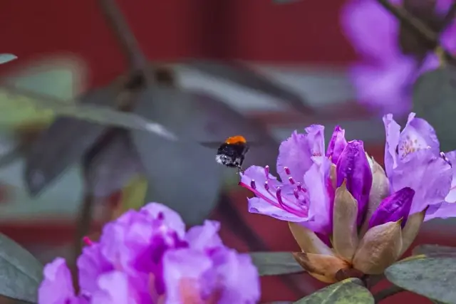 Nature and landscape photography, sample 60