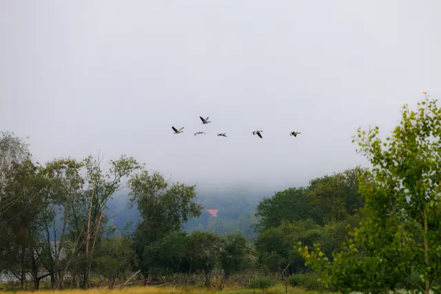 Nature and landscape photography, sample 62
