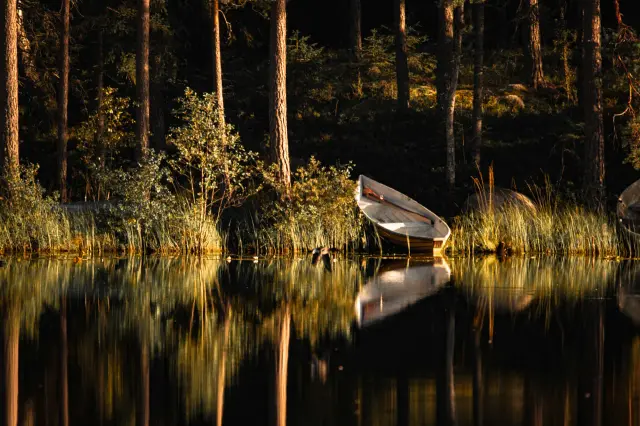 Nature and landscape photography, sample 72