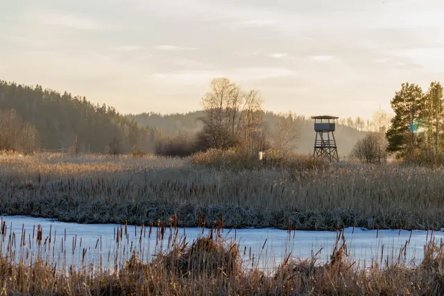 Nature and landscape photography, sample 74