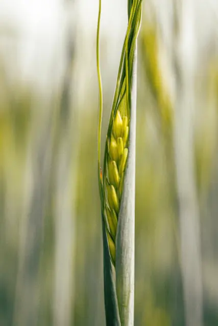 Nature and landscape photography, sample 76