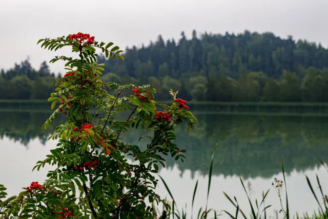 Nature and landscape photography, sample 78