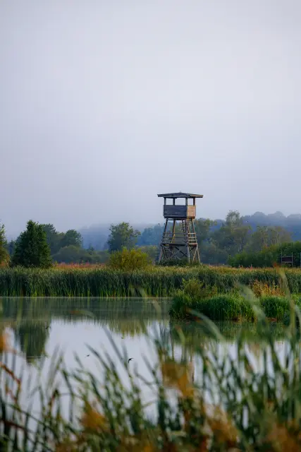 Nature and landscape photography, sample 79