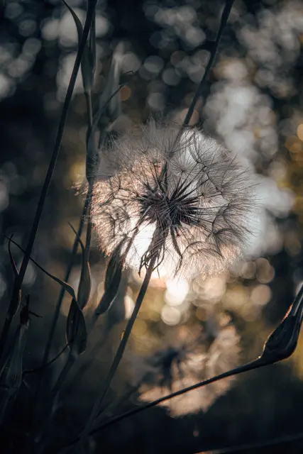 Nature and landscape photography, sample 82
