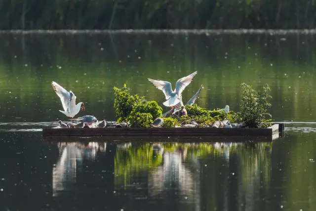 Nature and landscape photography, sample 90