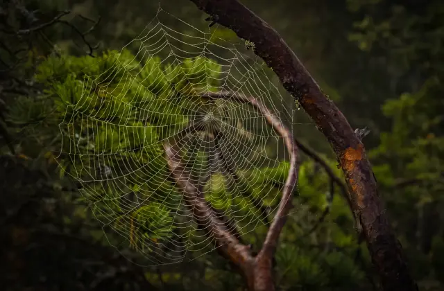 Nature and landscape photography, sample 94